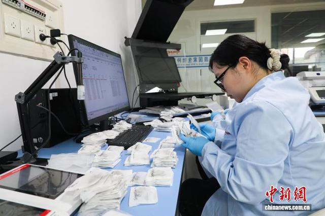 5月8日，青海西宁，研究人员在青藏高原生物种质资源库整理植物遗传材料。中新社记者 马铭言 摄