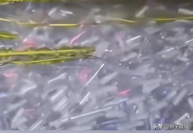 来源：澎湃新闻