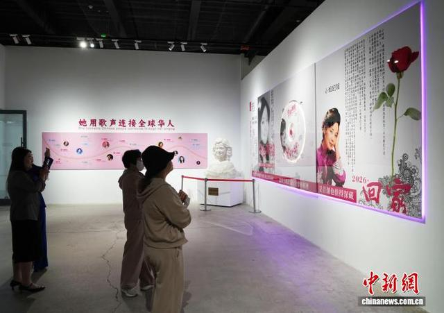 图为丽影珍藏馆一隅。中新社记者 阚力 摄