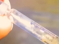 “成都一河道现大量注射器”，官方通报