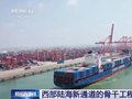 铁海联运+江海联运 平陆运河成我国西部对外联通“大动脉”