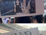 五月天鸟巢演唱会上演“柳絮飞雪”，粉丝喊话：快给阿信送化毛膏！