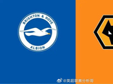 英超布莱顿迎战狼队冲击欧战