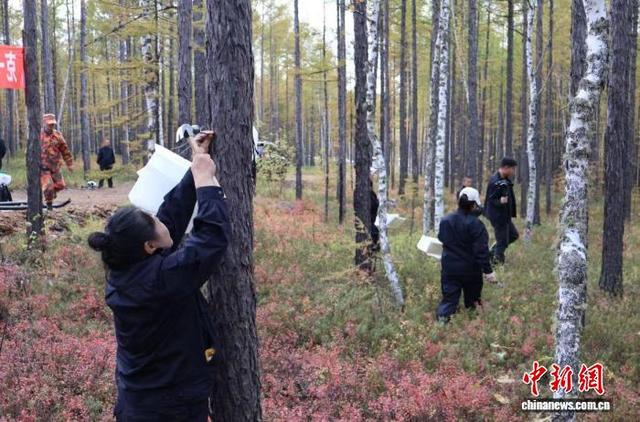 支林学子参与林区生物防治实践 东林供图