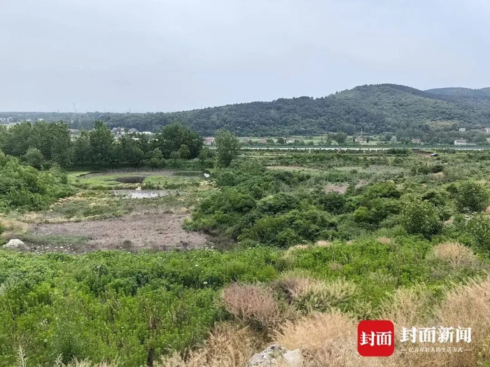 污水蒸发后留下的黑色淤积