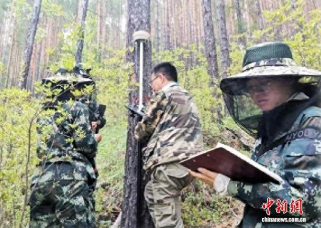 支林学子在林区开展典型植物群落监测 东林供图