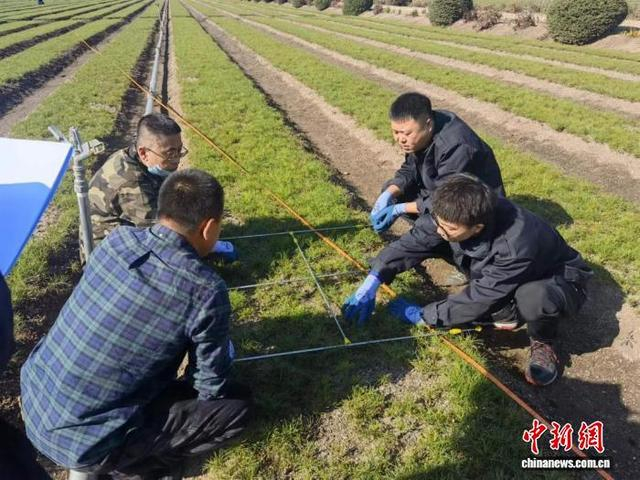 支林学子正在对当地林场开展种苗质量检测 东林供图