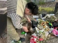 买榴莲仅退款事件启示：失德违法不可姑息