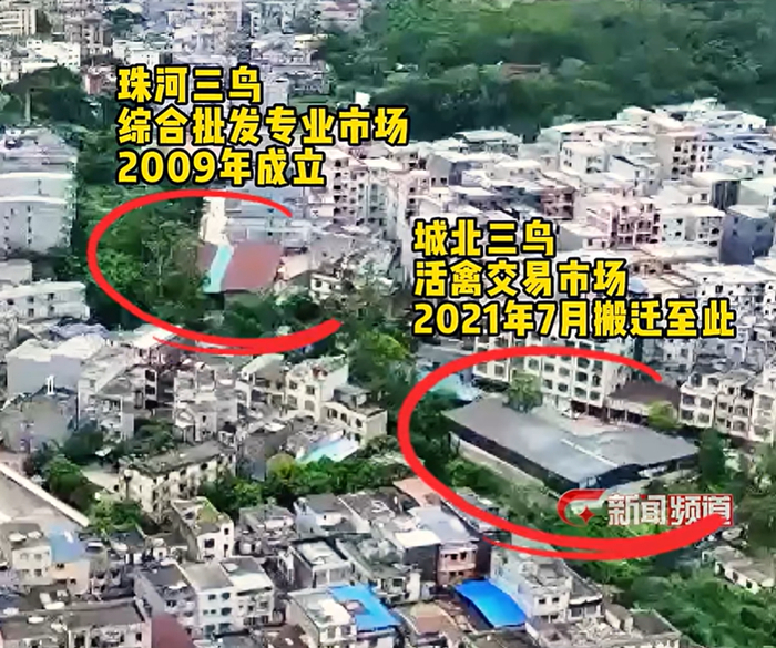 双活禽市场紧邻居民区。图源：广西新闻频道