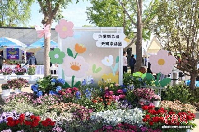 第八届北京邻里节活动现场。北京市委社会工作部供图