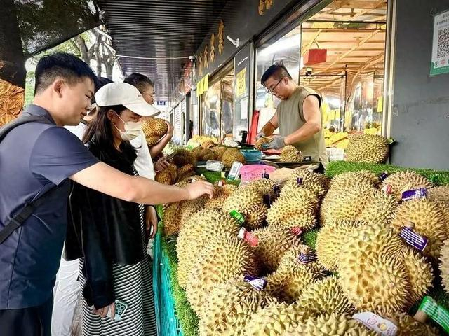 这是消费者在云南昆明金马正昌水果批发市场选购榴莲。新华社记者王贤思 摄