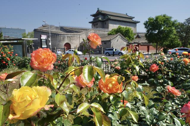 来源：北京日报客户端