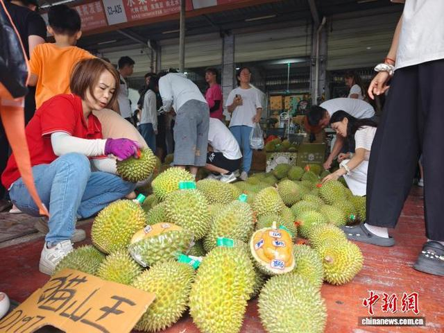图为民众正在挑选榴莲。刘芷邑 摄