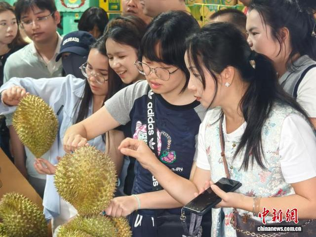 图为民众正在挑选榴莲。刘芷邑 摄