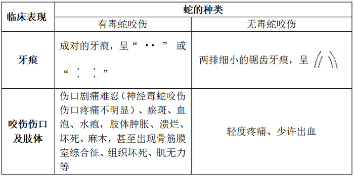 毒蛇与无毒蛇的咬伤特征