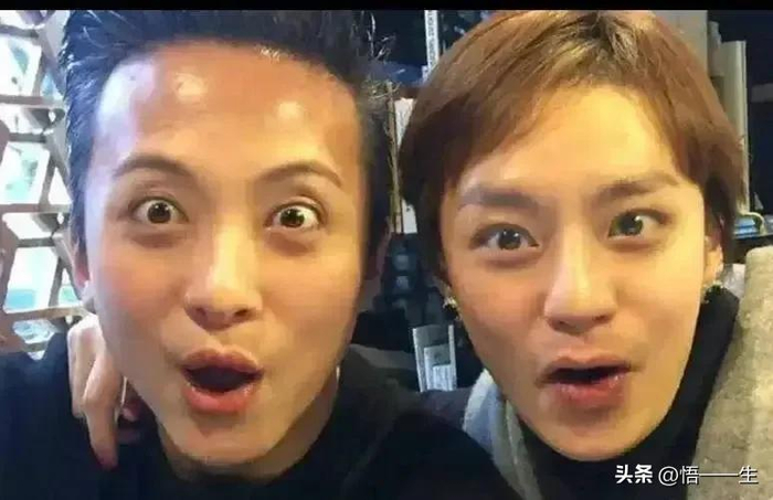 图片取材网络