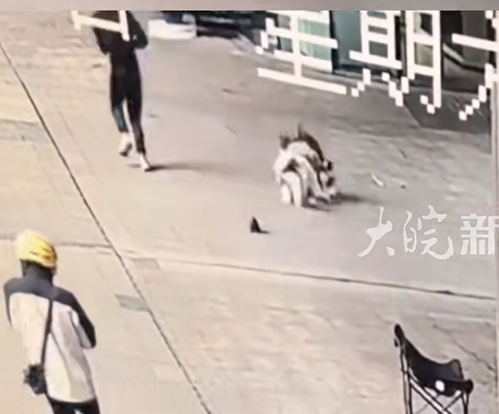 视频截图