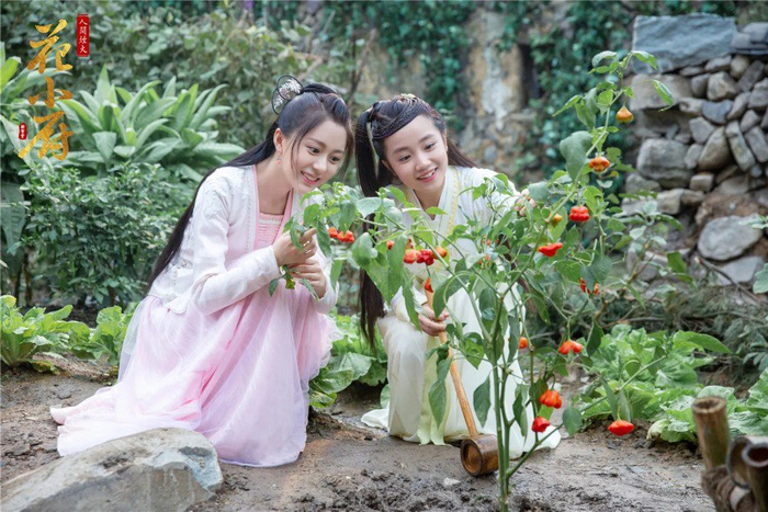 《人间烟火花小厨》剧照