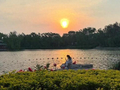 北京初夏黄昏，落日熔金，花开成海