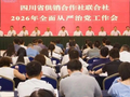 四川省供销社召开2026年全面从严治党工作会议