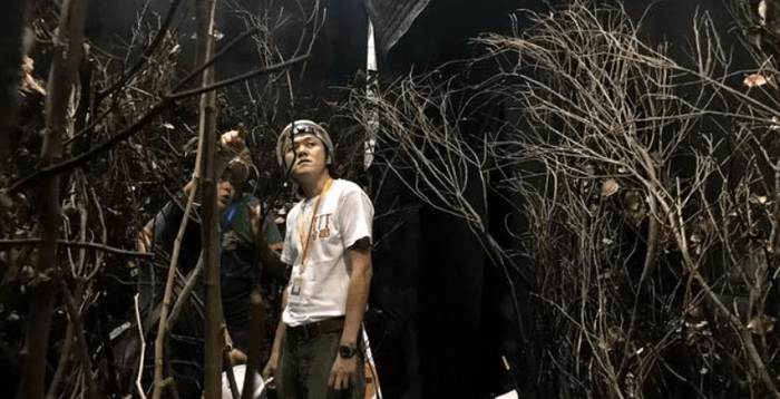  打开网易新闻 查看精彩图片 