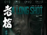 老枪[高朋执导的电影]