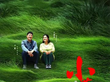 小草青青[2016年王茜华等主演的电视剧]