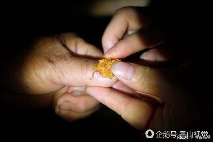  打开网易新闻 查看精彩图片 