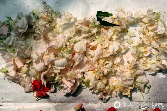  打开网易新闻 查看精彩图片 