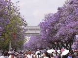 被四川的夏天治愈了