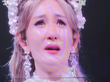 对于谢娜等明星的见面会，为何多城巡演比单场更容易盈利？