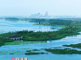夏日白洋淀蓝绿交织美如画