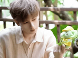 粉丝对胡先煦代言霸王茶姬的反馈和二次创作有哪些？