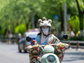 热力升级！最高可达37℃以上！多地将现今年首个高温天