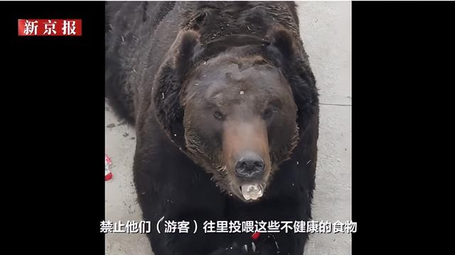 来源：新京报