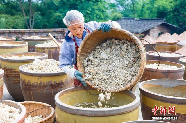 工人将制曲完成的酱料投放在酱缸，进入暴晒工艺阶段。李贵平 摄