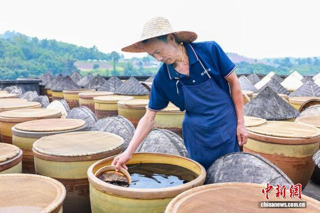 传统酱油夏酿忙。李贵平 摄