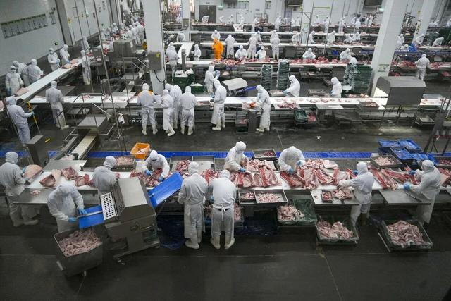图为牧原集团猪肉屠宰加工生产线。范晓恒 摄