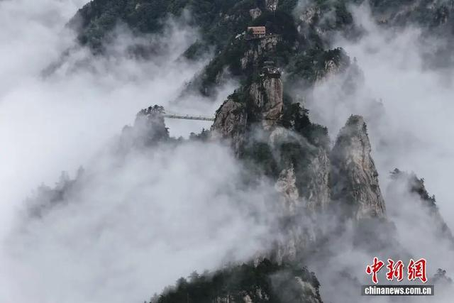 图为河南南阳西峡县老界岭现雨后云海景观。杨永青 摄