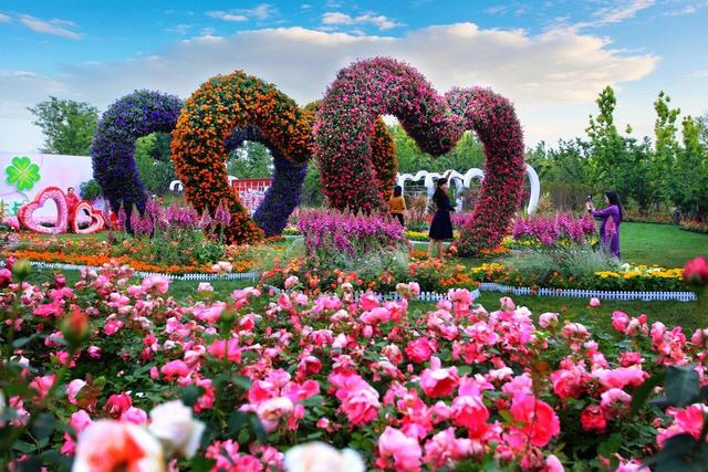 图为南阳月季花观光产业区。南阳市委宣传部 供图