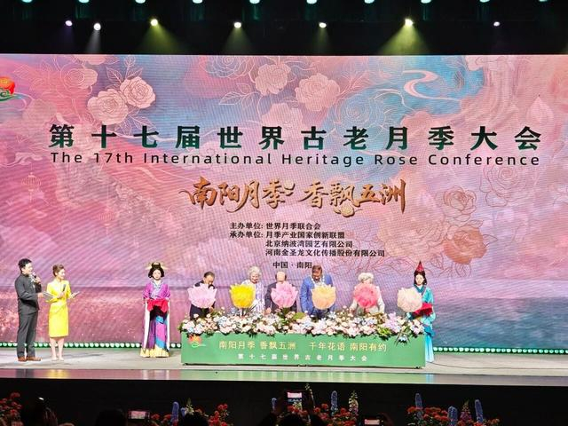 图为在南阳举办的第十七届世界古老月季大会。李海珠 摄