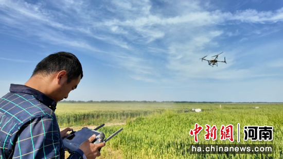 图为工作人员操作无人机进行飞防作业。牛玉珍 摄