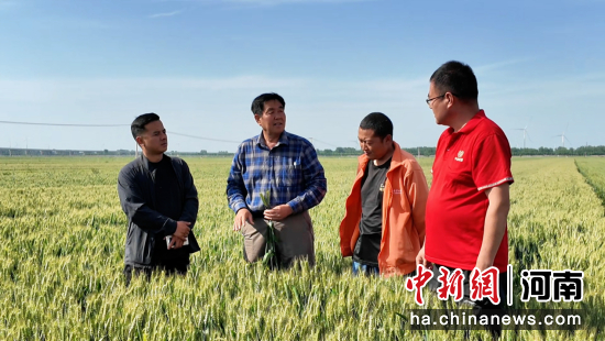 图为农技人员和无人机飞手交流飞防注意事项。朱新国 摄