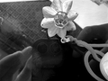 一年多就“长红斑”