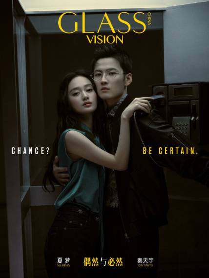 GLASSVISION [46]