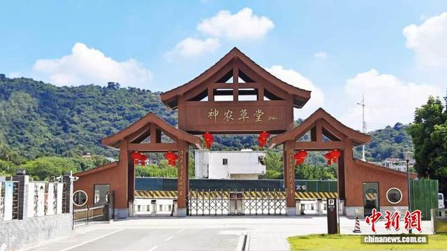 广州神农草堂。广东省林业局 供图