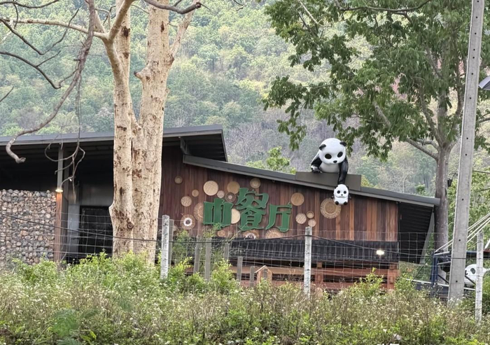     打开网易新闻 查看精彩图片    