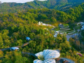 广东迁地保存高等植物15026种 植物园数量全国第一
