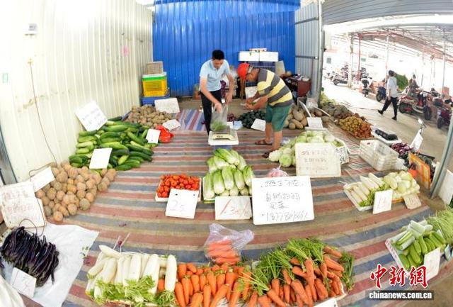 图为民众在“无人值守”蔬菜售卖摊点选购蔬菜。滕忠 摄 
