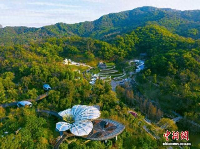 广州云萝植物园。广东省林业局 供图